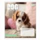 Зошит 12 аркушів клітинка Dog too pup