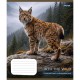 Зошит 24 аркушів клітинка Into the wild