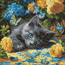 Алмазна мозаїка 40*40см Кошеня блакитнооке