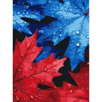 Картина за номерами 30*40см + фарби + пензель 3 шт. з рамкою Осіння роса