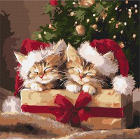 Картина за номерами 40*40см + фарби + пензель 3 шт з рамкою Пухнасті подарунки