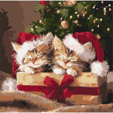 Картина за номерами 40*40см + фарби + пензель 3 шт з рамкою Пухнасті подарунки