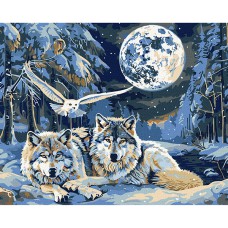 Картина за номерами 40*50см + фарби + пензель 3 шт з рамкою Хижаки і мудрість