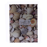 Канцелярская книга А4 клетка  96 листов твердый переплет Shells