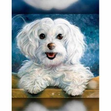 Алмазна мозайка 20*30см Доллі