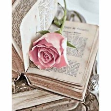 Алмазная мозайка 30*40см