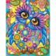 Алмазна мозайка 5D 21*25см Яскрава совушка