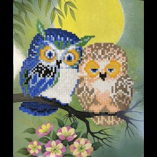 Алмазна мозайка 5D 21*25см Нічні друзі