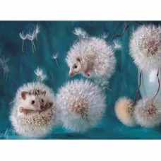 Алмазна мозайка 30*40см Їжачки-кульбаби