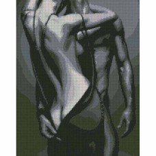 Алмазна мозайка 40*50см Passion