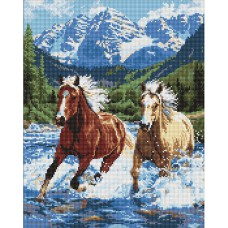 Алмазна мозаїка 40*50см Сила у русі