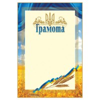 Грамота А4 офіційна №167