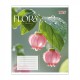 Зошит 36 аркушів клітинка Flora