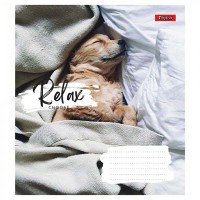Зошит 18 аркушів клітинка Relax choose