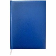 Щоденник недатований А5 288 аркушів Master синій