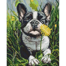 Алмазна мозайка 40*50см Пес і кульбаба