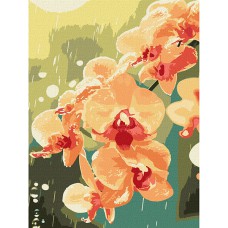 Картина за номерами 30*40см + фарби + пензель 2 шт з рамкою Орхідея в краплях