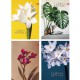 Канцелярська книга А4 клітинка 96 аркушів тверда обкладинка