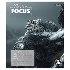 Тетрадь 1Сентября 48 листов линия Beasts in Focus