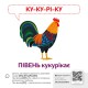КЕНГУРУ Звуконаслідування. Тварини QR (Укр)