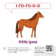 КЕНГУРУ Звуконаслідування. Тварини QR (Укр)