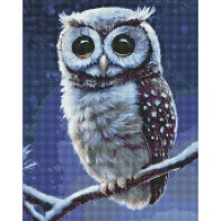 Алмазна мозаїка 40*50см Лісова совушка
