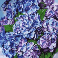 Картина за номерами 40*40см + фарби + пензель 3 шт. з рамкою Яскрава гортензія
