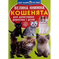 Большая книга для любознательных мальчиков и девочек Котята