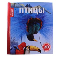 Чарівні сторінки: 2D Птахи
