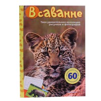 Твоя дивовижна колекція малюнків і фото: В савані