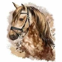 Алмазная мозайка 20*30см Победитель