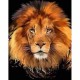 Алмазна мозайка 20*30см Цар звірів