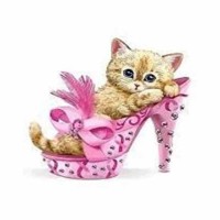 Алмазна мозайка 20*30см Іду на танці