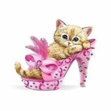 Алмазна мозайка 20*30см Іду на танці