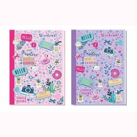 Блокнот А5 80 листов клетка мягкая обложка Positive