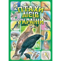 Комплект наочності Птахи лісів України