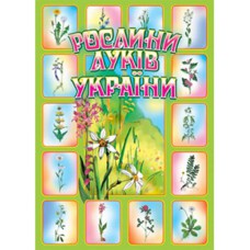 Комплект наочності Рослини луків України