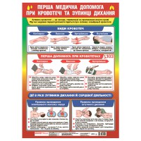 Первая медицинская помощь при кровотечении и остановке дыхания.