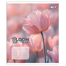 Зошит 24 аркушів клітинка Bloom or fade