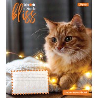 Зошит 18 аркушів клітинка Bliss