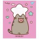 Тетрадь 12 листов клетка Pusheen