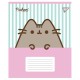 Зошит 12 аркушів лінія Pusheen Candy