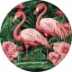 Картина по номерам диаметр 39см + краски + кисть 2 шт с рамкой Фламинго в цветах