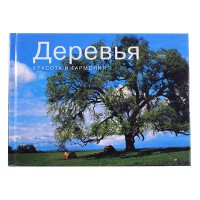 КМ: Дерева. Краса та гармонія