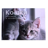 КМ: Кошки. Красивые и независимые