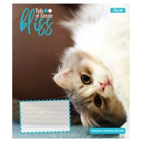 Зошит 12 аркушів коса лінія Bliss