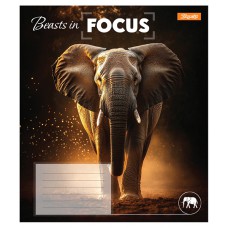 Зошит 24 аркушів лінія Beasts in Focus