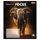 Зошит 24 аркушів лінія Beasts in Focus