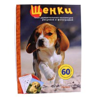 Твоя дивовижна колекція малюнків і фото: Цуценя