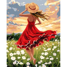 Картина за номерами 40*50см + фарби + пензель 3 шт з рамкою Танець в полі
